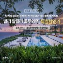 알릴라 | 발리 고급 리조트 호텔 알릴라 울루와뚜 풀빌라 호캉스 후기
