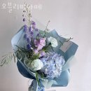 오블리 이미지
