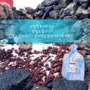 단잠 민박 이미지