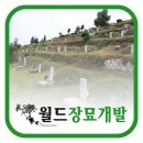 월드장묘개발