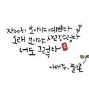 풀꽃3 이미지