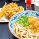 박사몰 | 잠실 롯데월드몰 맛집ㅣ마루가메 우동 솔직후기