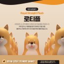 로티플 PC 이미지