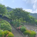 벽계관광지 통나무집 이미지