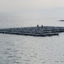 '낙뢰 서지' 대책 갖춘 수상 태양광 '수중 송전케이블' 단선 문제 해결사 이미지