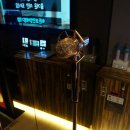 히든코인싱어노래연습장 이미지