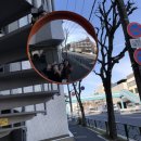 오레노도쿄 이미지