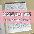 UR(대전광역시)-[청사로]-상-29 | 출생신고서 열람 발급 방법 총정리, 준비물 관할 법원 온라인