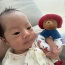 월별기록:7월 아프지말자 우리가족