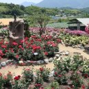 천하태평 이미지