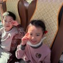 ✨반짝 반짝 우리들의 빛나는 하루✨#스누피가든 1 이미지