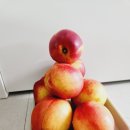 초아유통 이미지