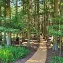 남원파크골프장 이미지