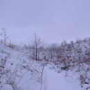 무채의아름다움 이미지