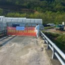 상보농장 이미지