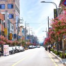 수원-1409 이미지