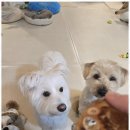 어뮤즈 호텔 이미지