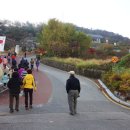 2016년 11월 26일 선산지역 답사 이미지