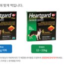까치산메가약국 이미지