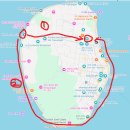 안도두부방 | [탈출] 발리에서 생긴 일 ① 바다거북이를 인만추하는 법