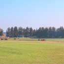 부흥목장 이미지