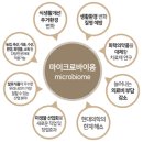 바이옴 이미지