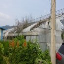 청산면-1 이미지