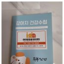 아이러브독 강아지 부천점 이미지