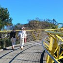 7월 11일 청준 리딩 Moire Park Walkway[Manutewhau Walk] 이미지