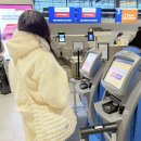 546 | 핀에어 좌석지정 온라인 체크인 수하물 AY546 후기