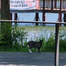 모다페카페 | 경남 창녕 호수뷰 카페 - 모다페 (핸드드립 예술)