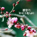 향기