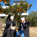 별비치하우스 이미지