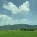 펜션 다솔강A 네이버블로그
