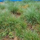 추대농장 이미지