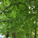 남하강자전거길 이미지