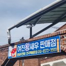 여진왕새우