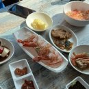 울릉도꽃새우 이미지