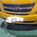 멘토카프로 이미지