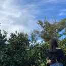 제주키즈펜션 개구리펜션 이미지