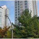 소중한부동산중개사무소 네이버블로그
