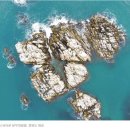 제17회 순천시장배 수영대회 | 동해인문학과 바다수영