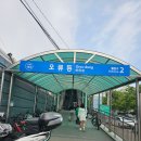 삼천리환경자원 | 오류버들시장 버들나들이 체험