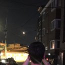 둥근모싯잎송편 이미지