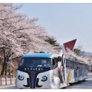 중앙동188 이미지