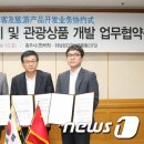 ㈜대한관광여행사 이미지