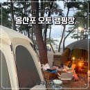 태안 바다 캠핑장 몽산포 오토캠핑장 1구역 후기