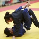 파이트체육관 이미지