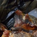 송진농장 이미지