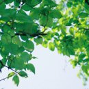 서울상도초등학교 이미지